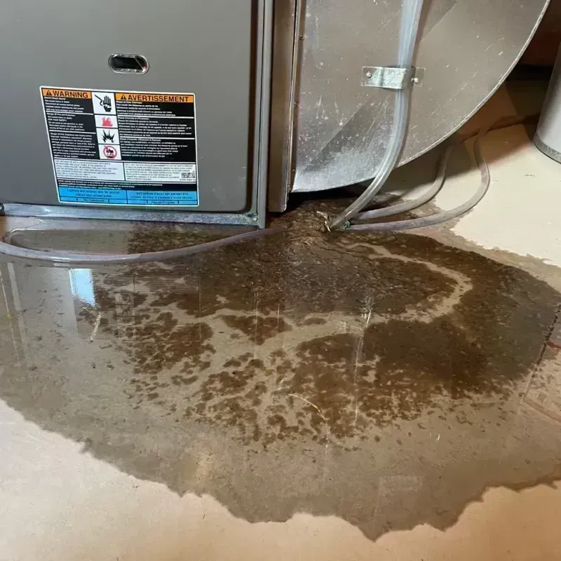 Appliance Leak Cleanup in Lake County, CO